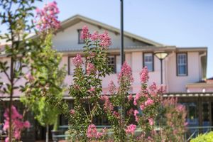 Alojamiento - Hotel Kurrajong Canberra