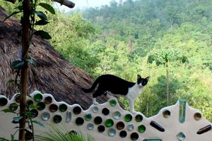 Alojamiento - Chiang Dao Roundhouses