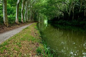 Alojamiento - Hotel de la Bastide
