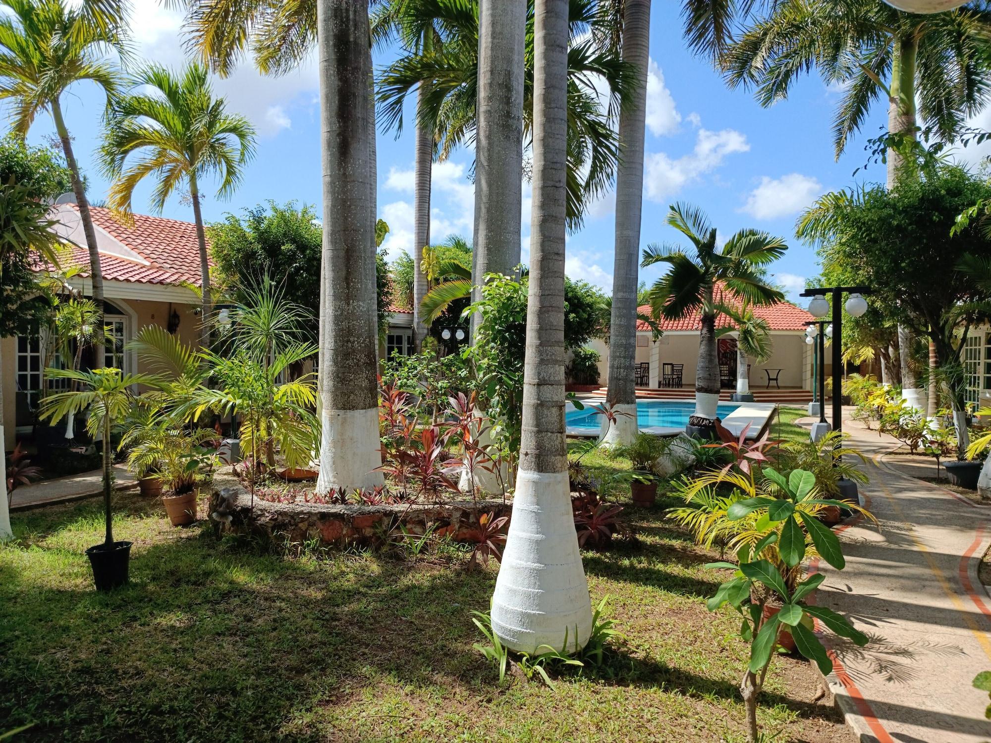 Varios Tulipanes Cancun