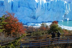 Actividad - Pasarelas del Glaciar Perito Moreno
