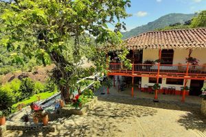 Alojamiento - Finca La Manchuria