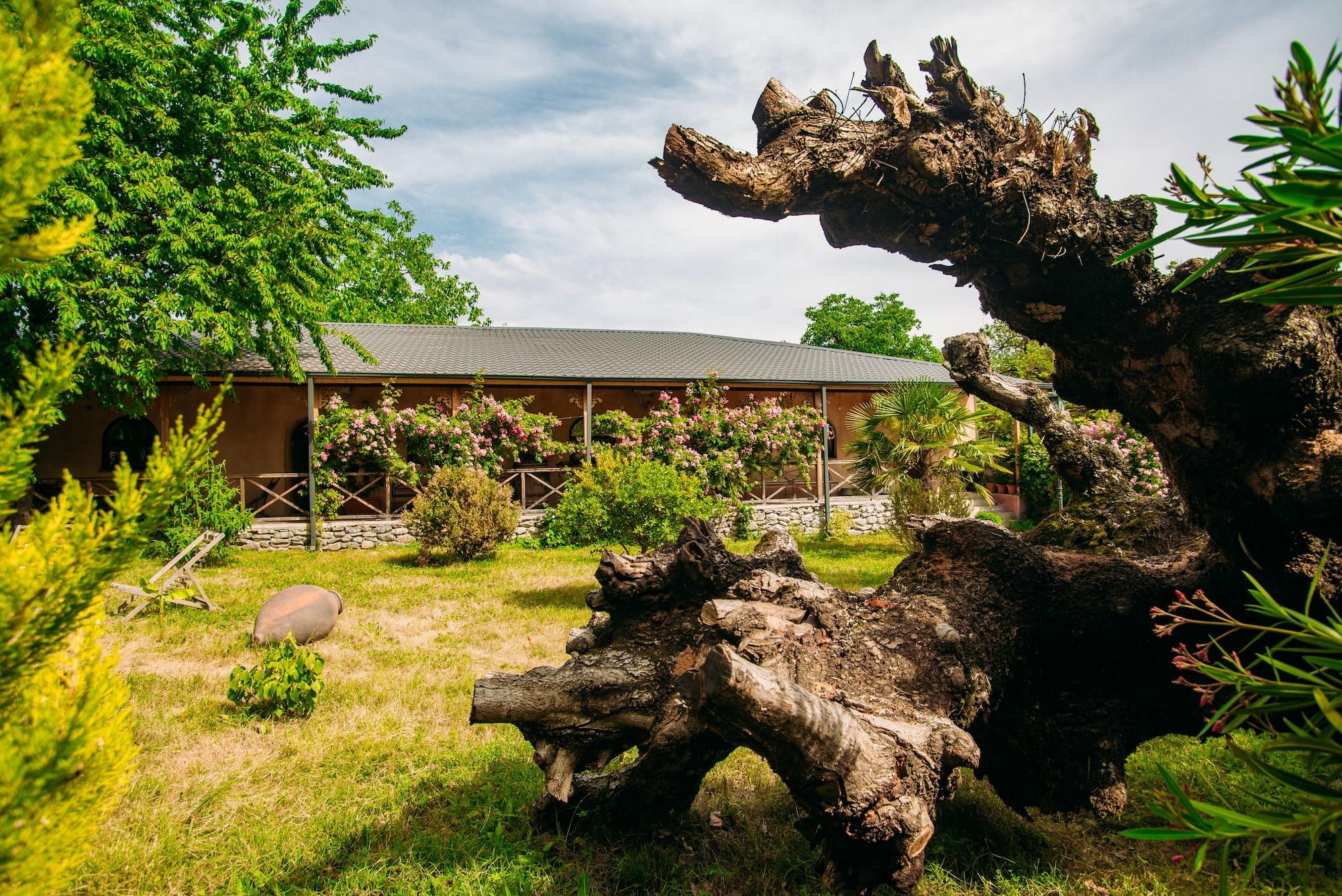 Varios Chateau Eniseli