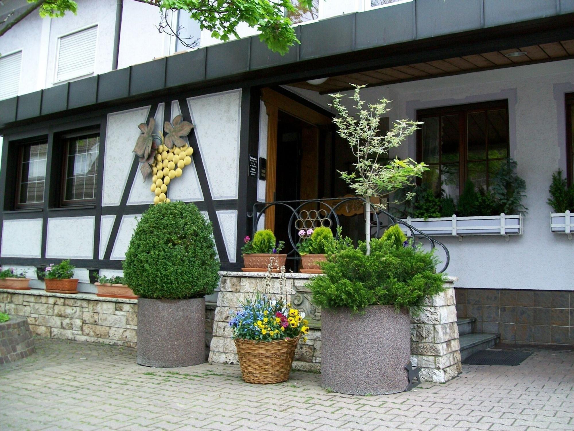 Vista Exterior Hotel Gasthof Traube