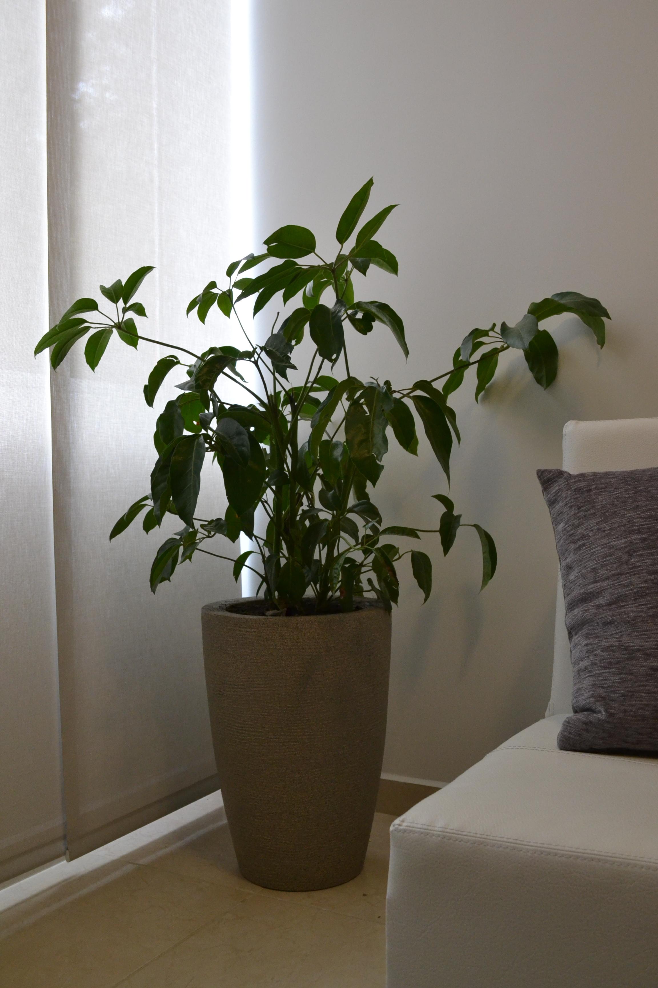 Varios Quindío Aparta Suites