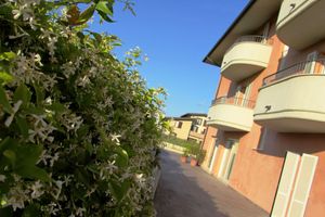 Alojamiento - Hotel Dante Residence