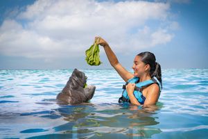 Actividad - Isla Mujeres:Día completo con interacción especies