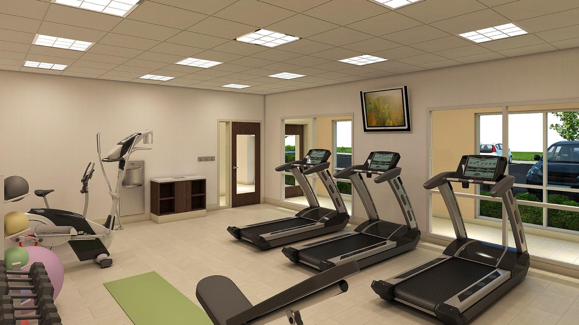 Gimnasio Holiday Inn Express & Suites Braselton West by IHG