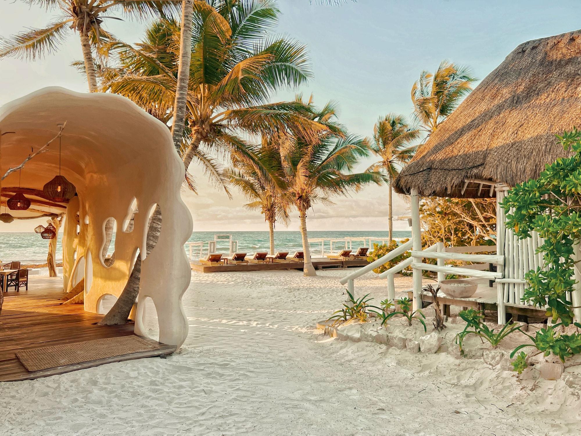 Playa Hotel Qamar Lux