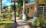 Tulipanes Cancun