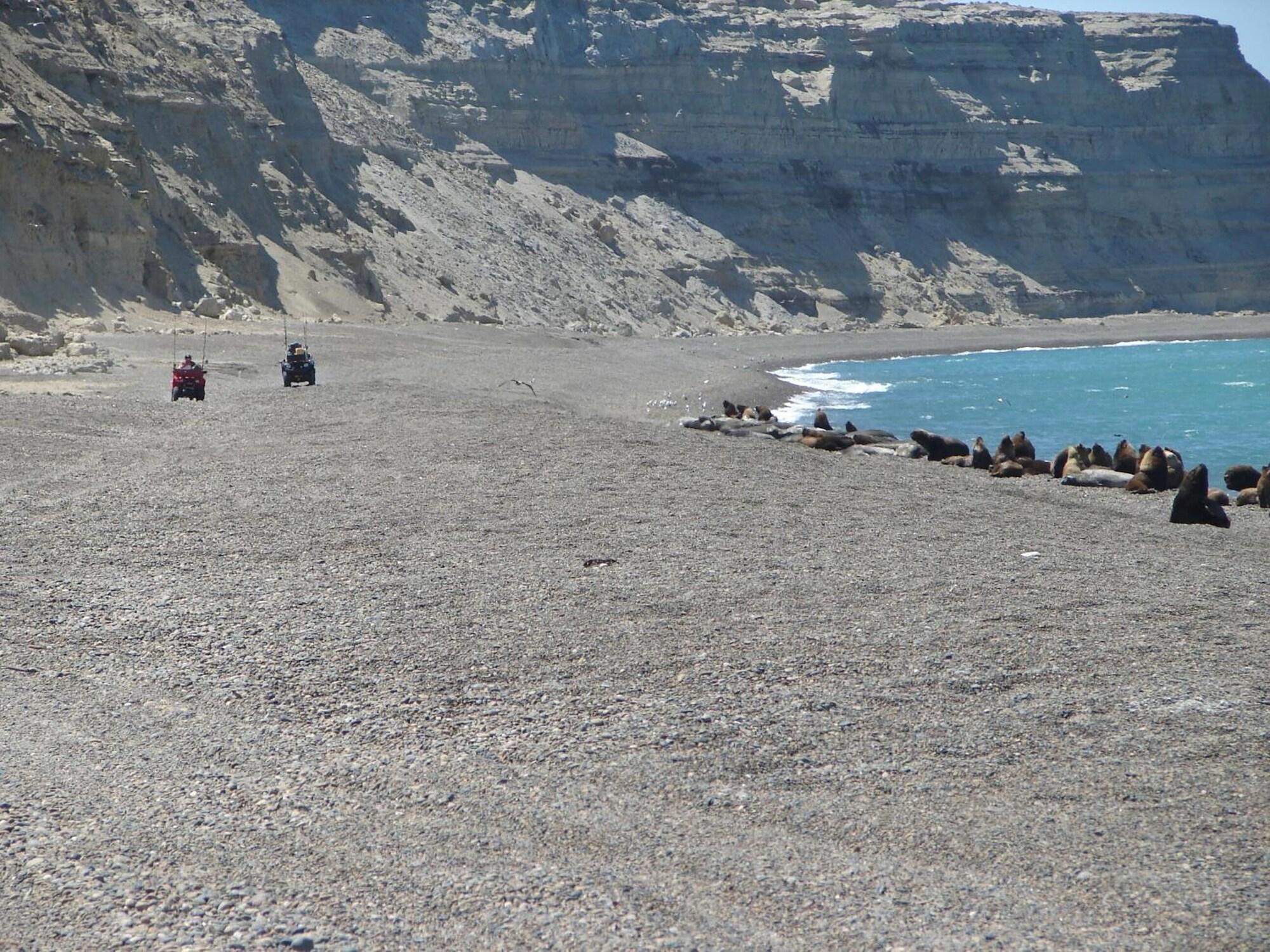 Playa Cheltum Hotel