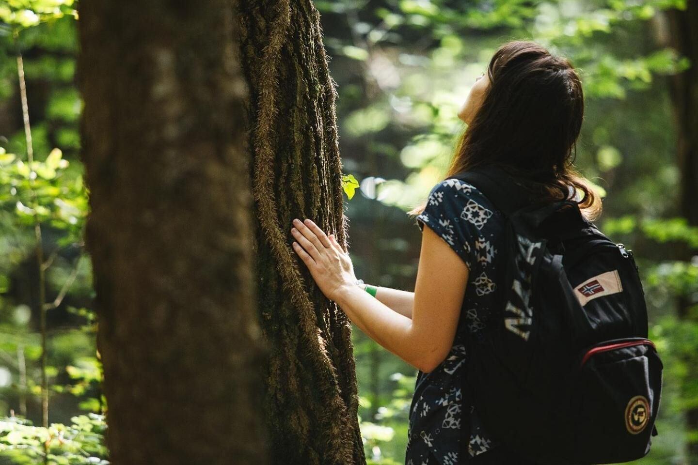 Gimnasio Agriturismo Florandonole