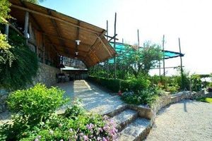 Alquiler Vacacional - Casa Nando