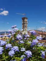 Alquiler Vacacional - The rooftop terrace overlooking the Duomo (just 20 minutes from Florence)