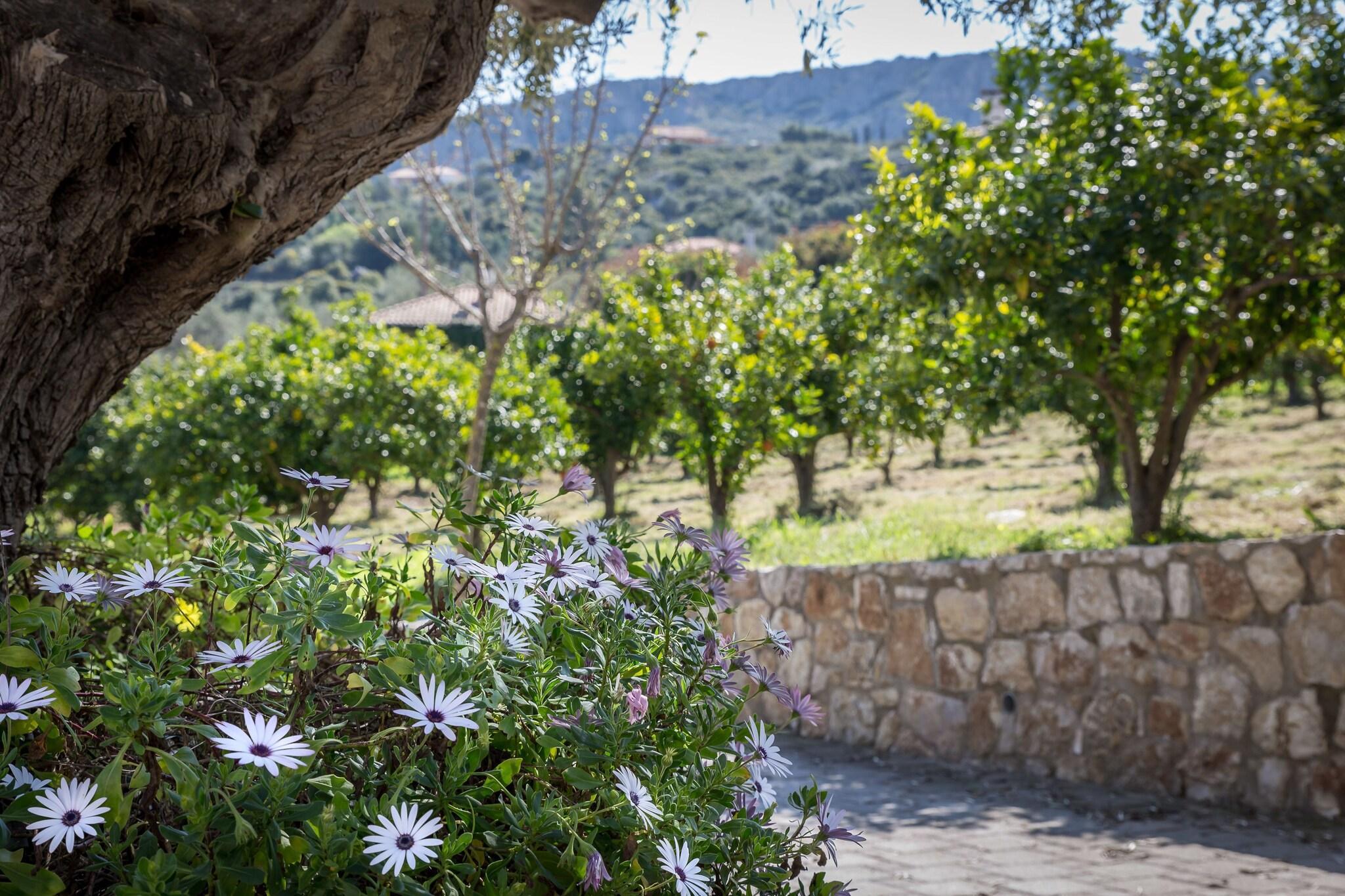 Vista Exterior Klymeni Traditional Homes