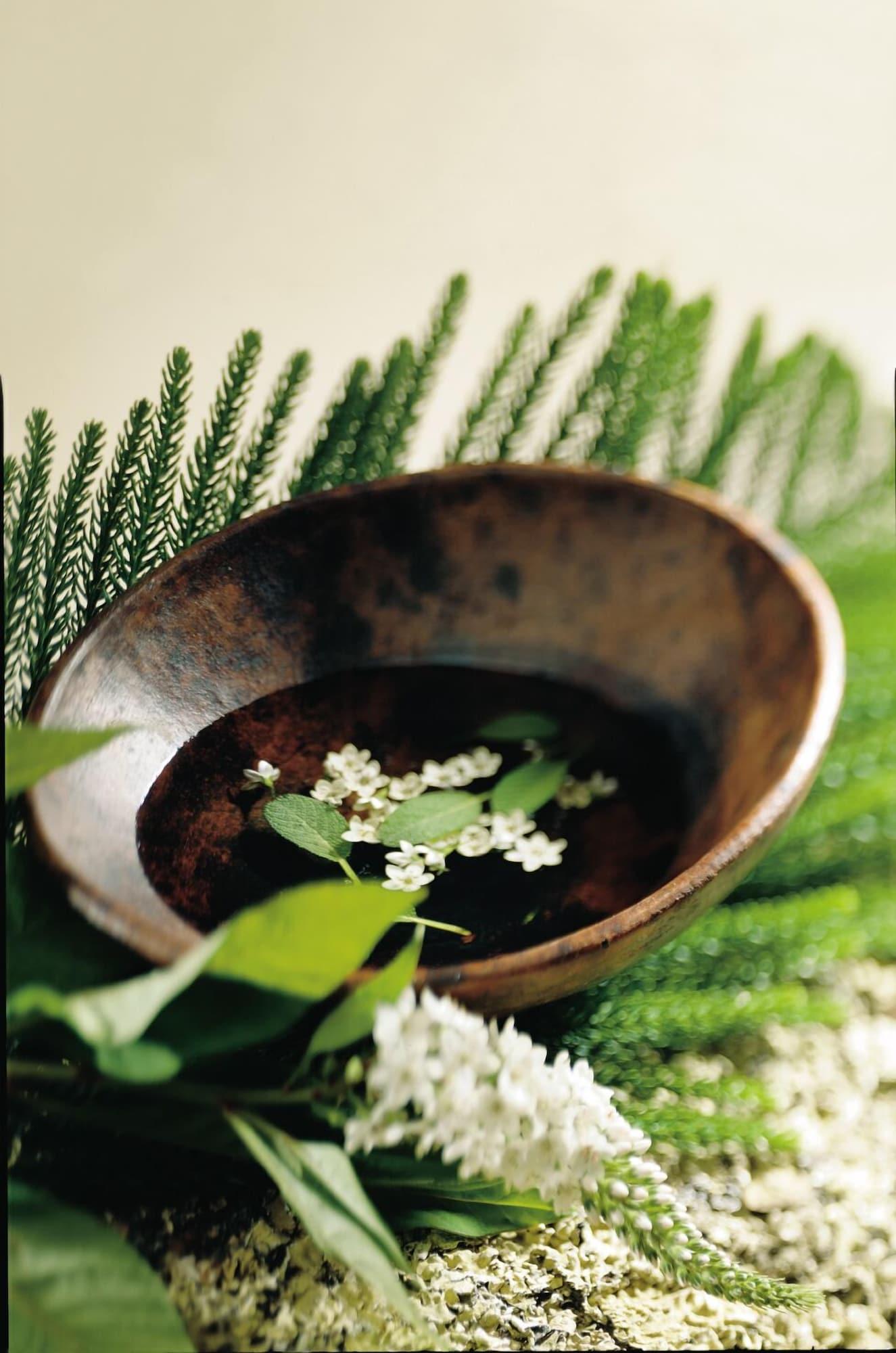 Spa Rakuzan Yasuda