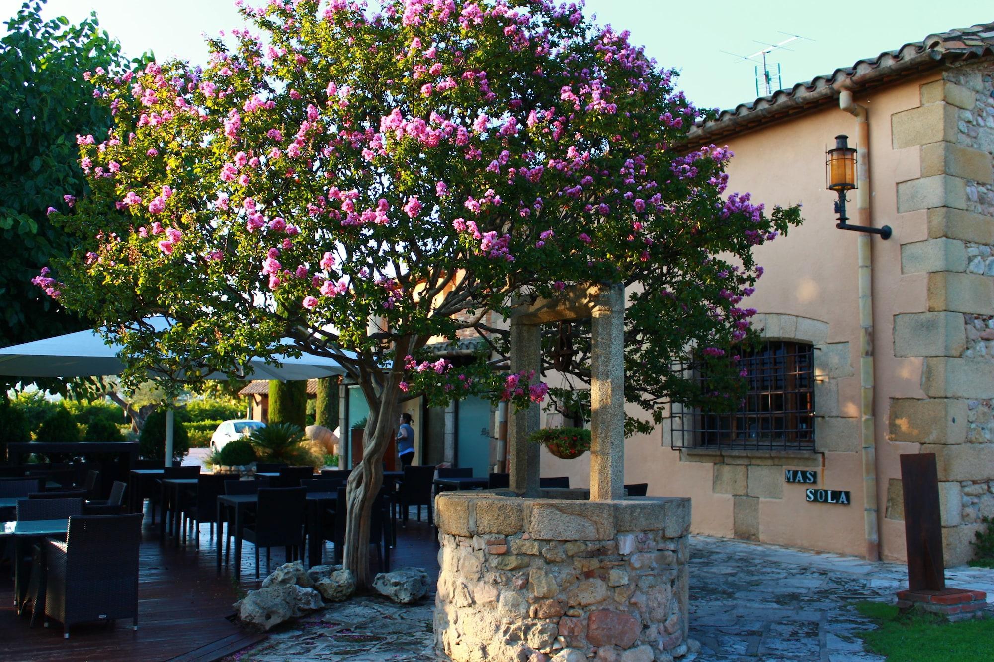 Vista Exterior Hotel Mas Solà
