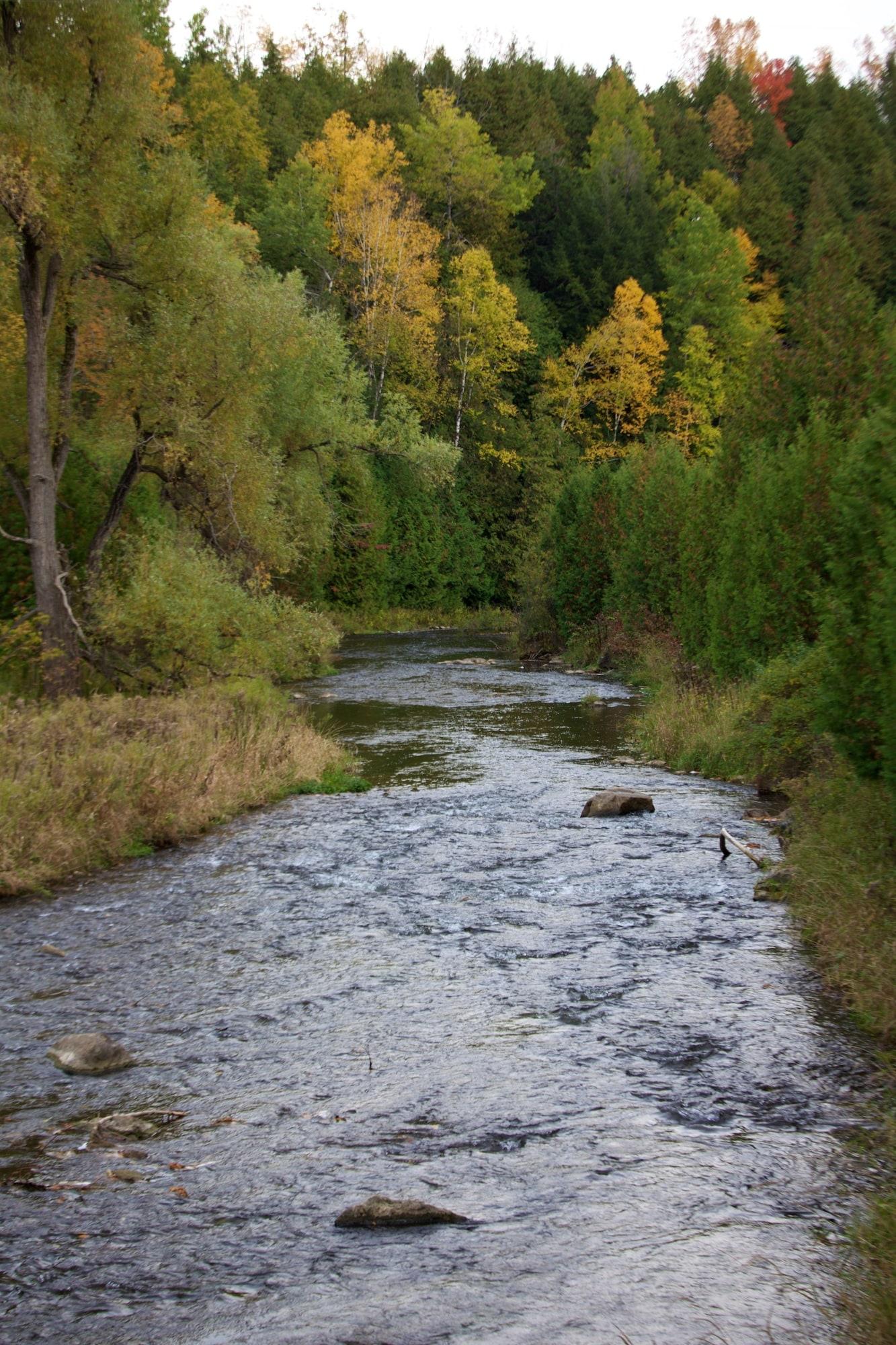 Comodidades del Alojamiento Forks of the Credit Inn