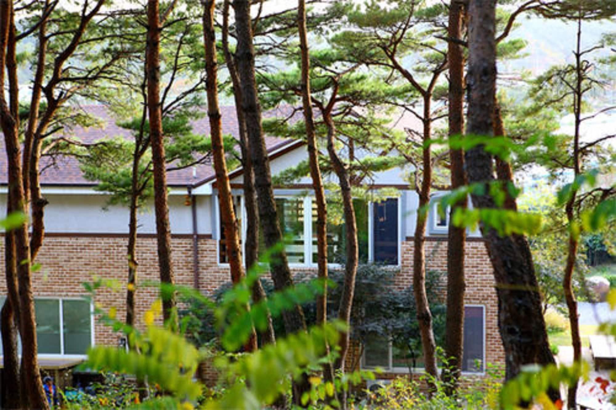 Vista Exterior Casa Seorak Bed and Breakfast