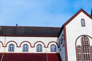 Actividad - Tour por Puerto Varas y Puerto Montt