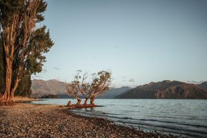 Alojamiento - Edgewater Lake Wanaka