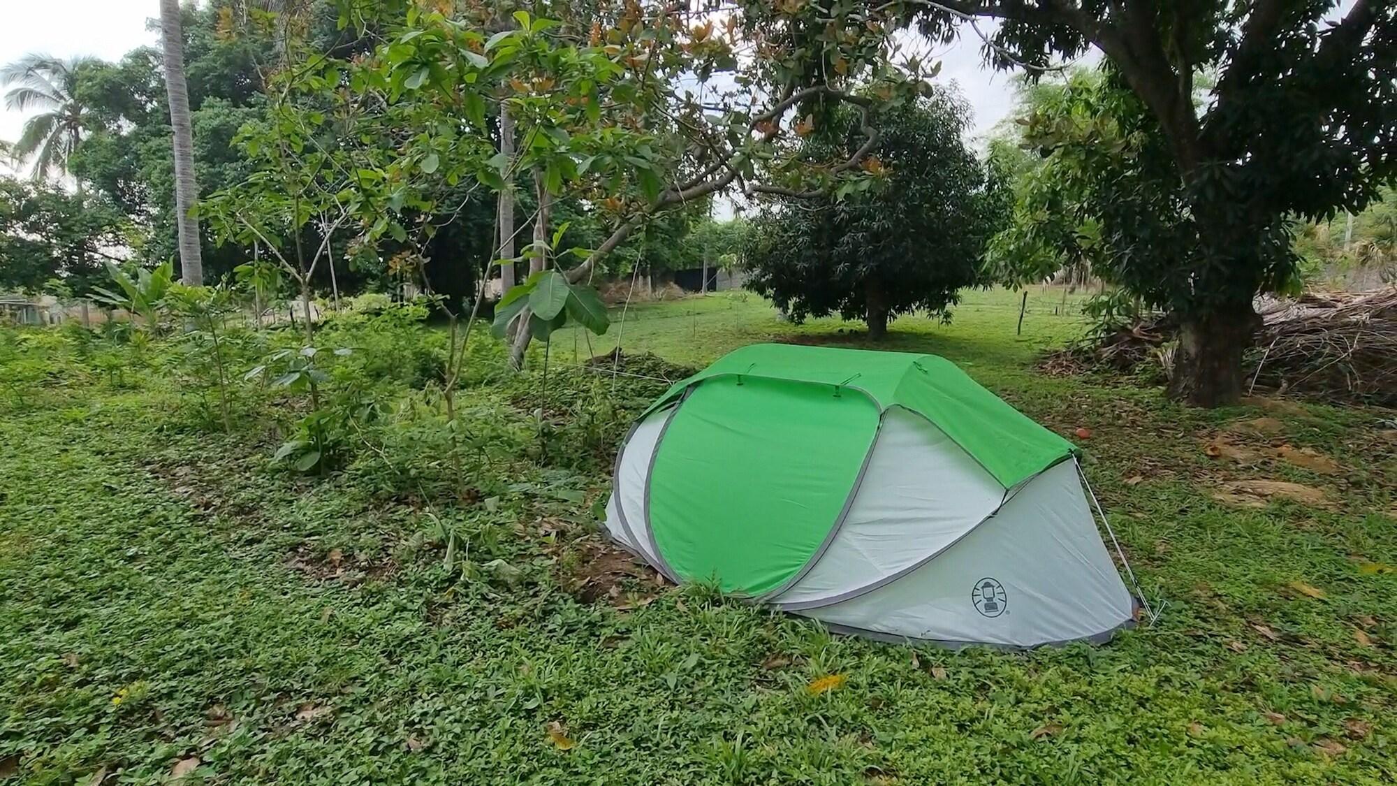 Vista Exterior Arboreto Camping