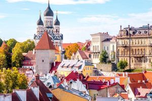 Actividad - Tour de un día a Tallin desde Helsinki
