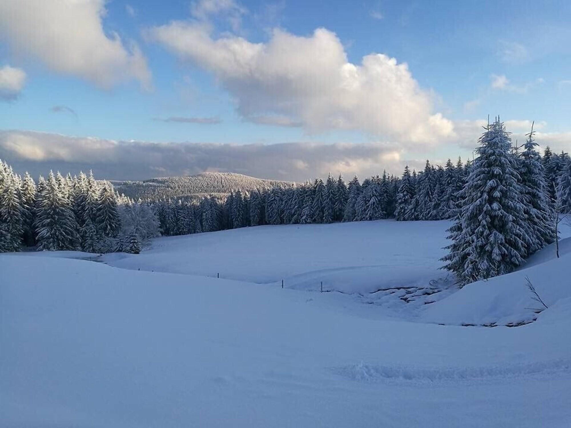 Instalaciones Recreativas Pension Zum Glasmacher