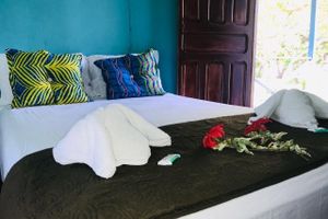 Alojamiento - All Rankins Eco-Lodge