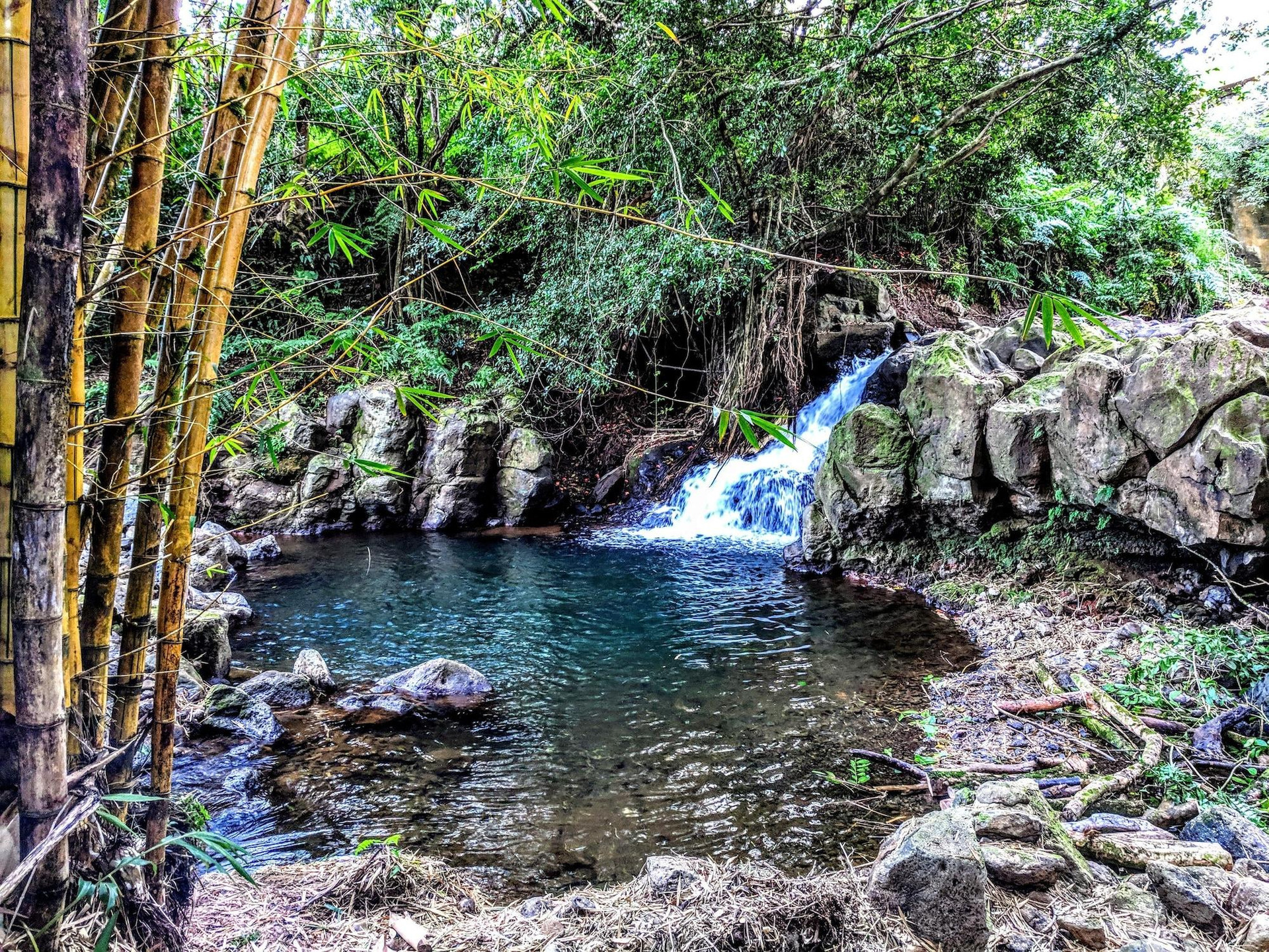 Varios Hamakua Guesthouse