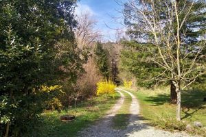 Alquiler Vacacional - Surrounded by forests, foothills & rivers, spacious Gite in the Cathare Country