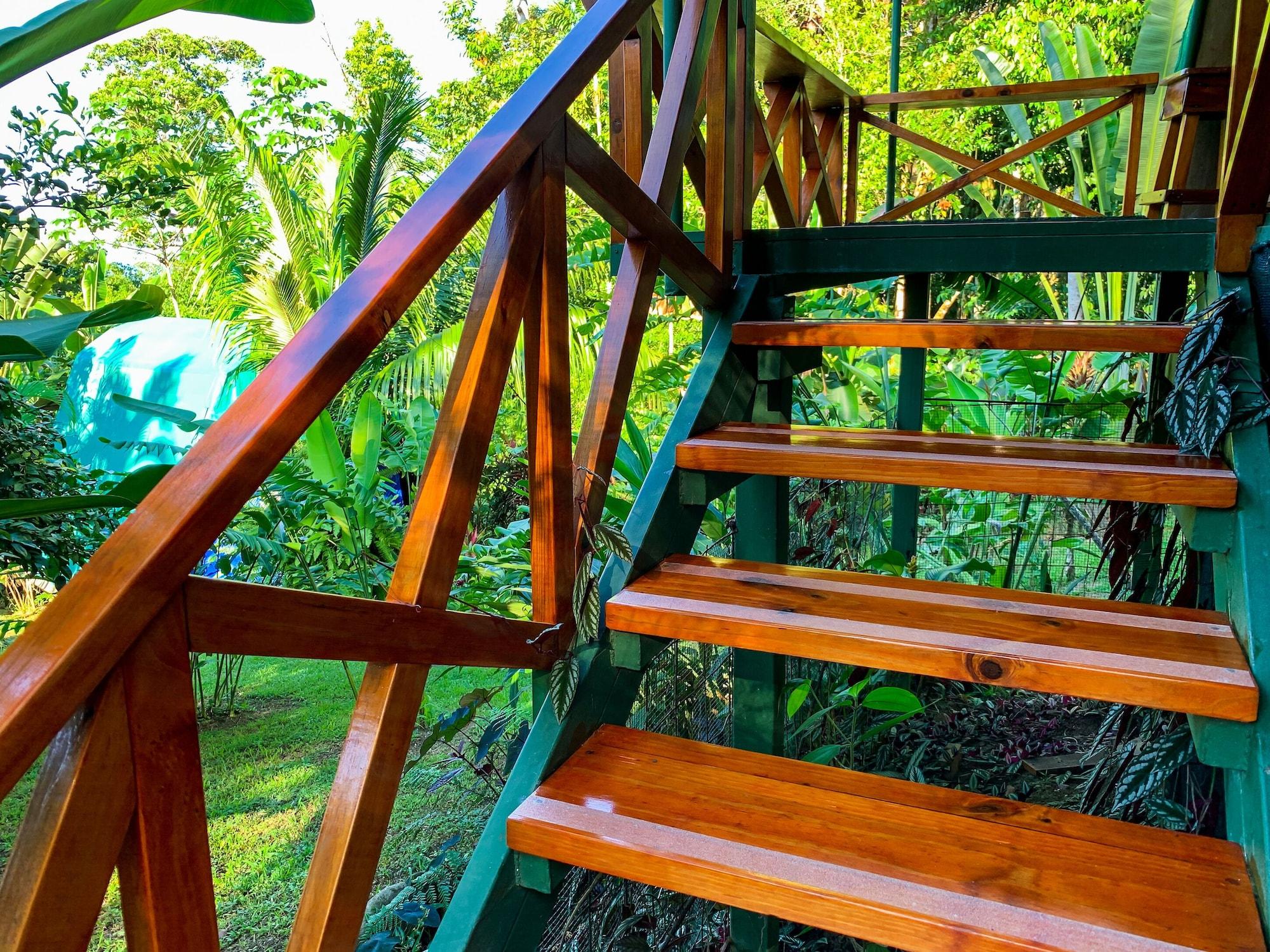Vista Lobby Hotel Las Caletas Lodge