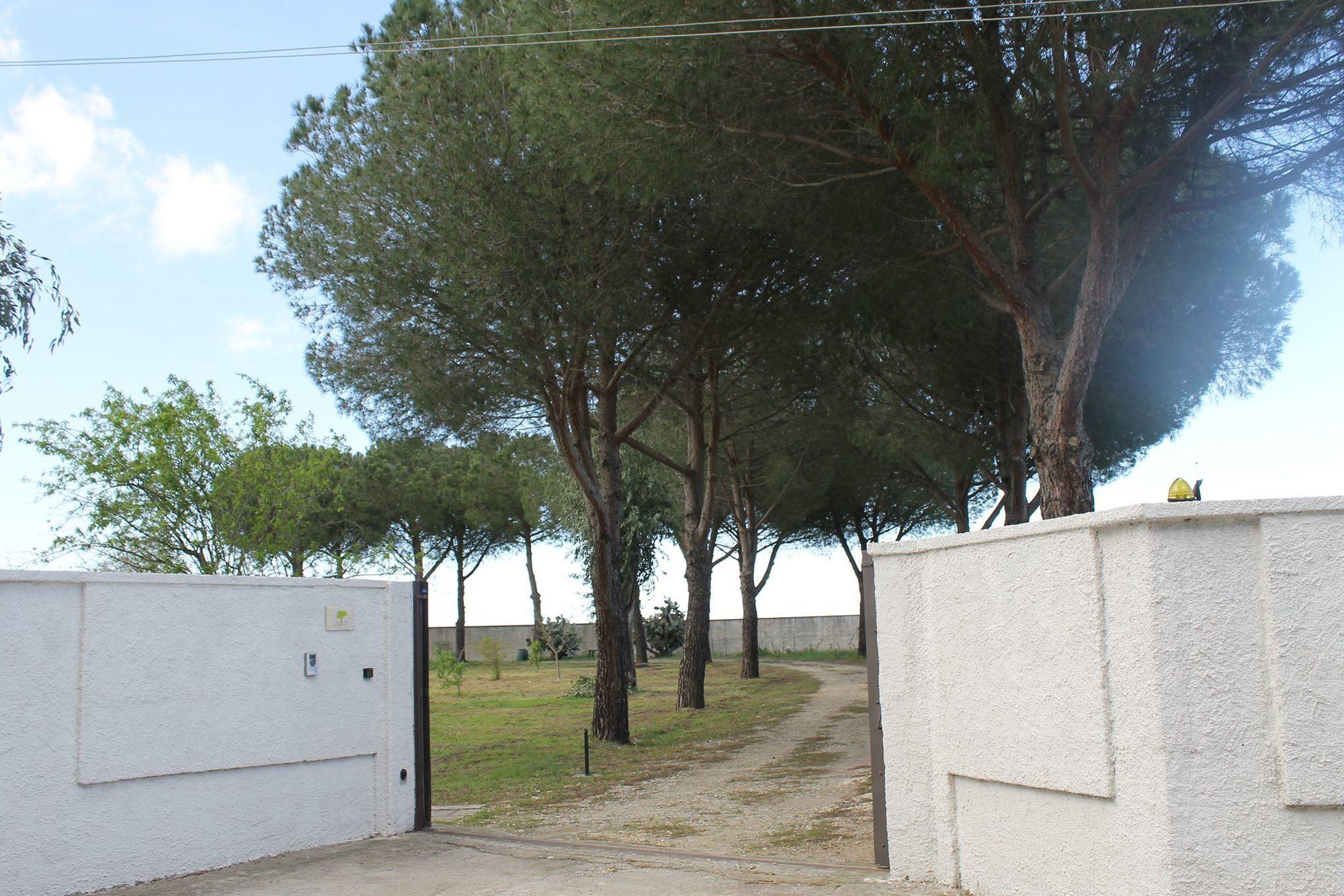 Vista Exterior B&B Villa 16 Pini