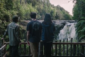 Actividad - Excursión al Parque Tepuhueico