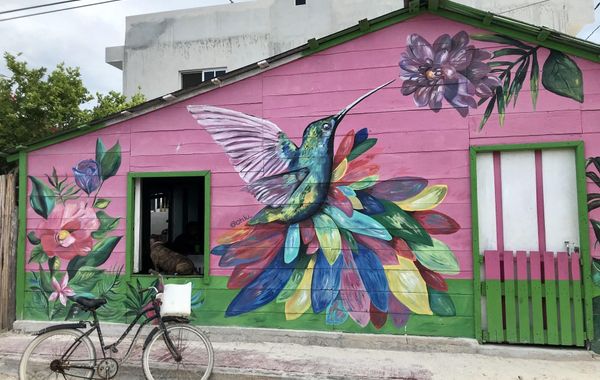 Ecoco Holbox - Ecochic - Holbox Retreat - Adults Only - Hoteles solo adultos en Holbox, México