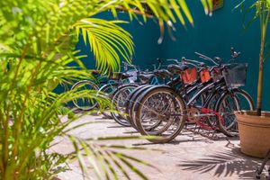 Alojamiento - Selina Playa Del Carmen