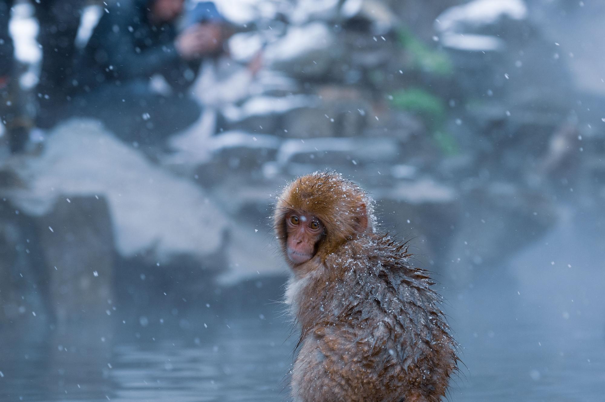 Instalaciones Recreativas Ryokan Suminoyu