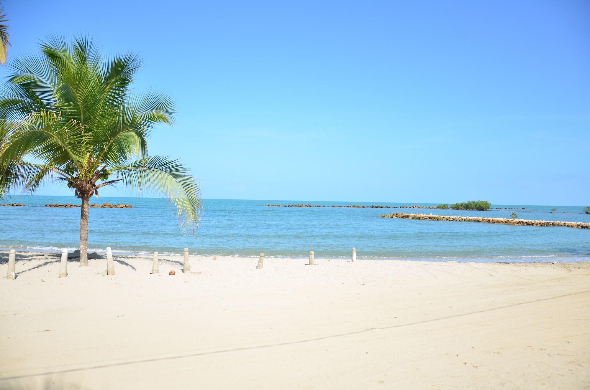 Playa Playa Caiman