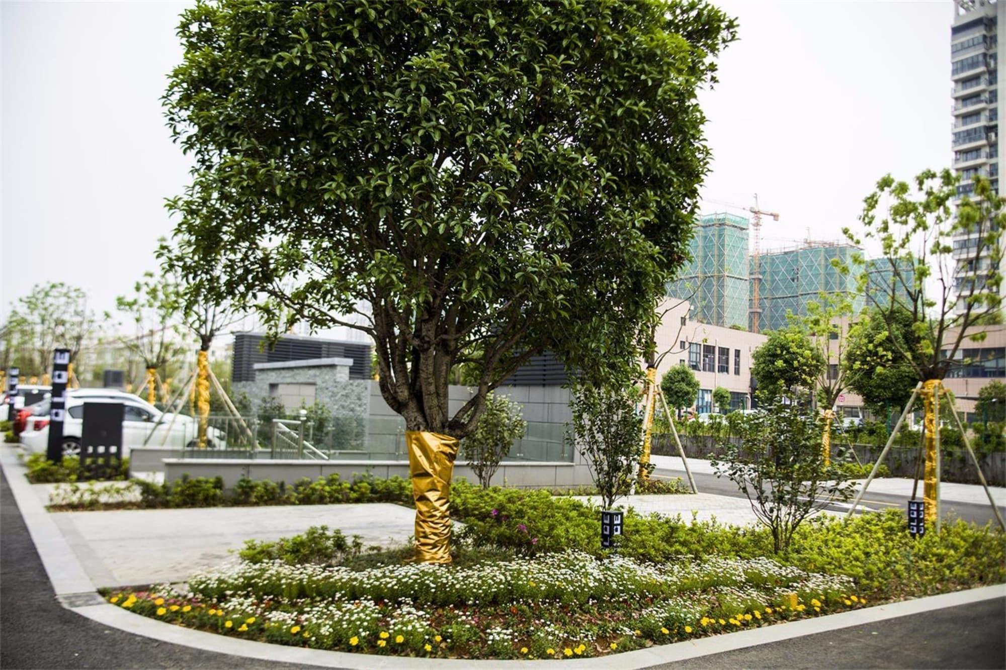 Vista Exterior WOJO Hotel