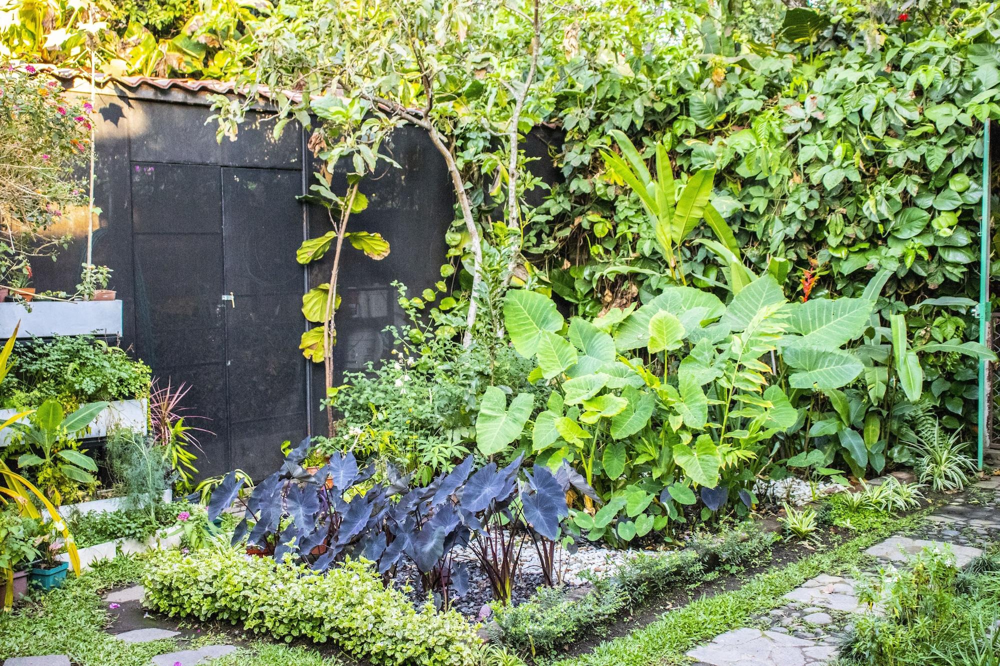 Vista Exterior Árbol de Fuego Eco-hotel, a green experience in the city