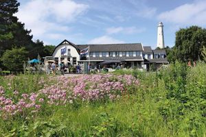 Alojamiento - Duinzicht