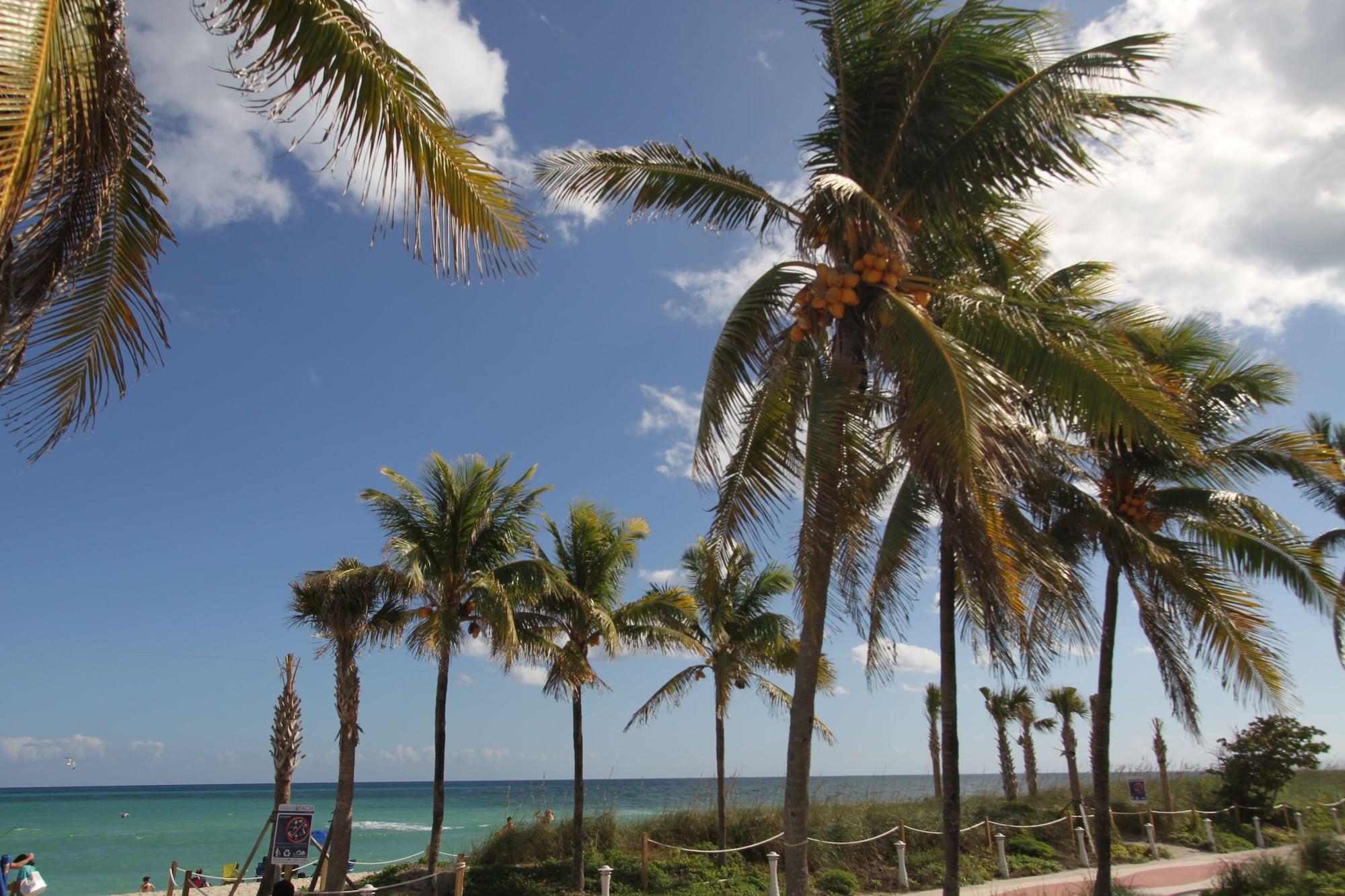 Playa Tropical Suites Inc.