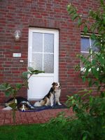 Alquiler Vacacional - Family vacation on the North Sea in a sunny vacation home, close to the beach