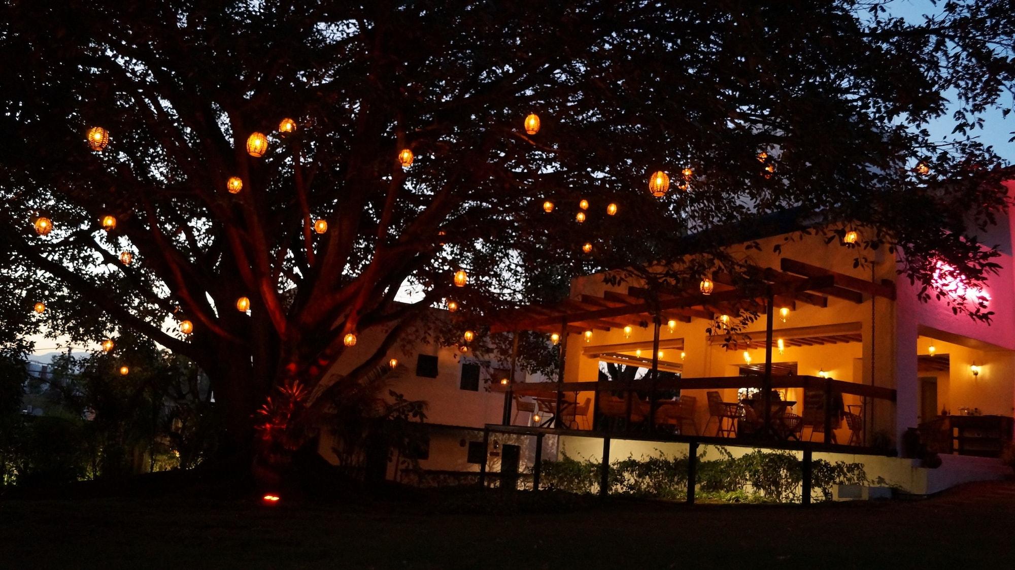 Restaurant La Provence Restaurant & Boutique Hotel