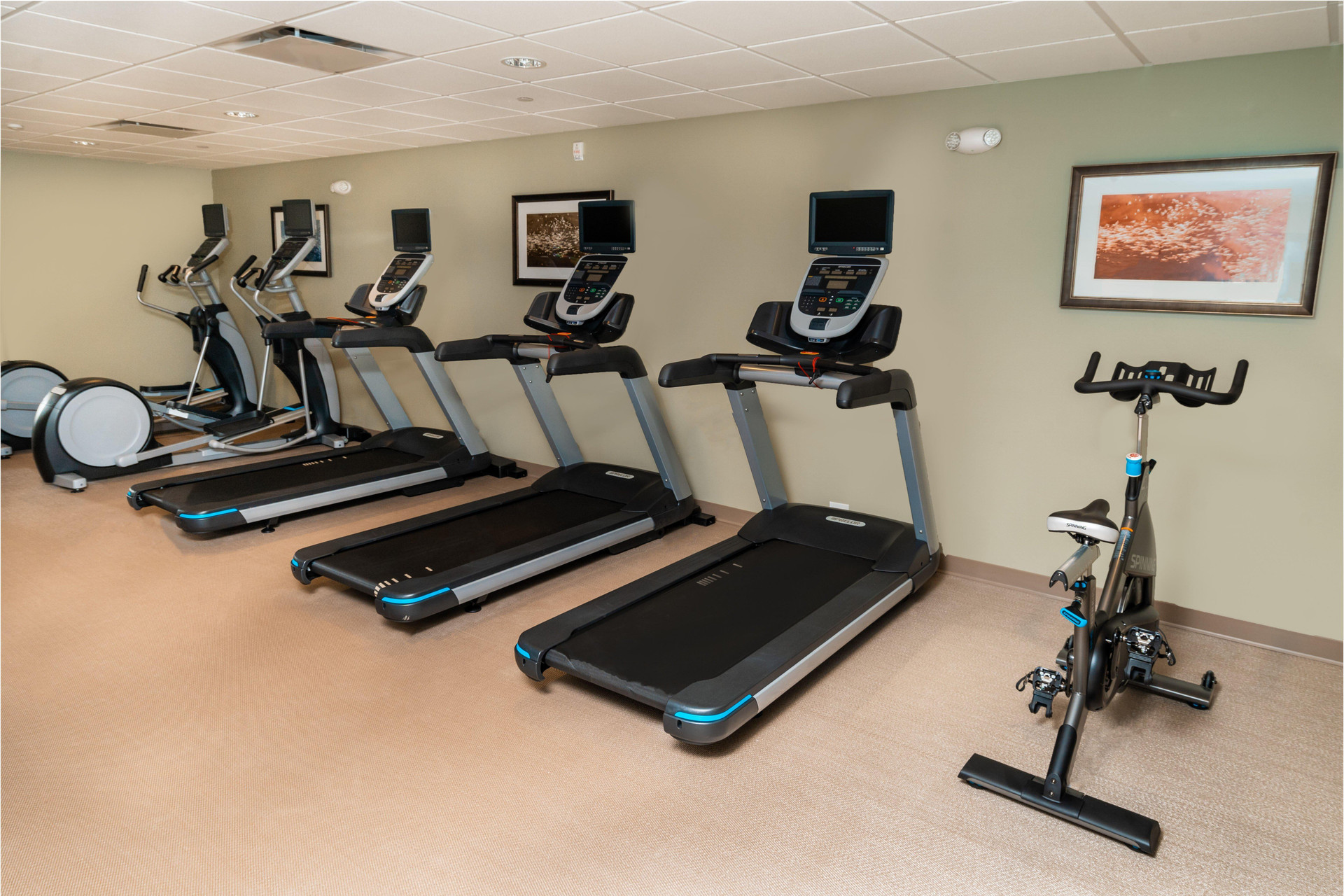 Instalaciones Recreativas Staybridge Suites Newark - Fremont by IHG
