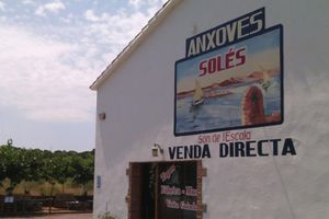 Actividad - Fábrica-Museo de la Anchoa, Visita con Audioguía y Degustación