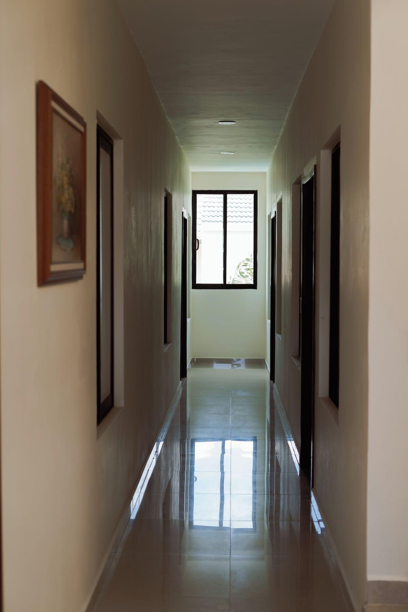 Varios Saules Sueño