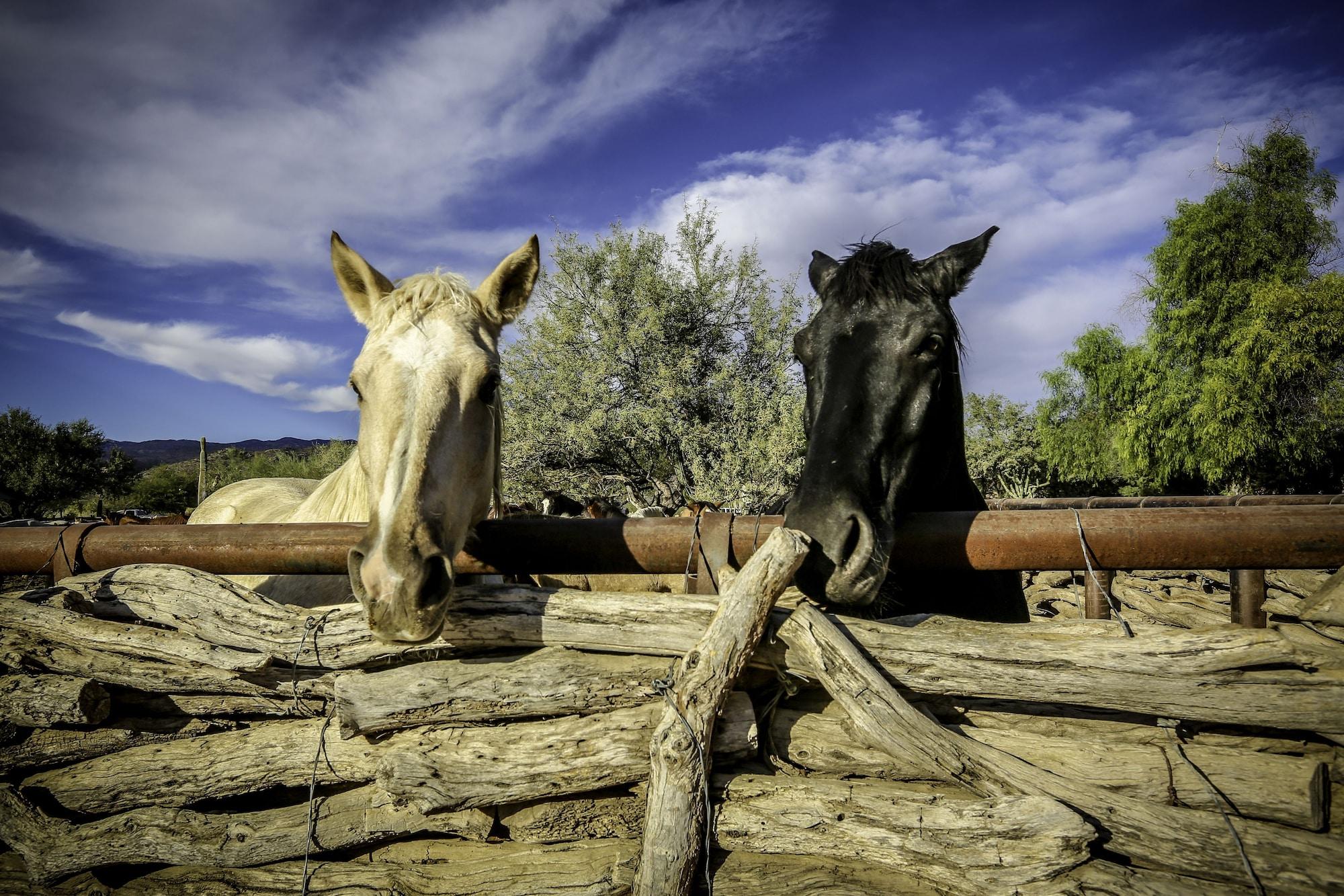 Playa Tanque Verde Ranch
