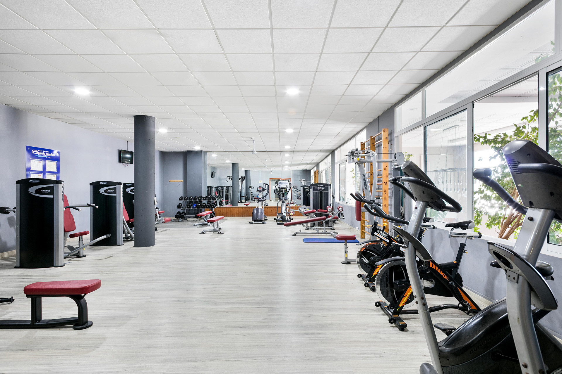 Gimnasio Hotel Best Oasis Tropical