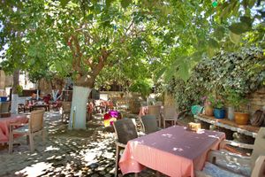 Alojamiento - Garden Palace Boutique Hotel